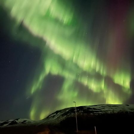 Stora-Asgeirsa Horse Farm Stay Vithigerthi Exteriör bild
