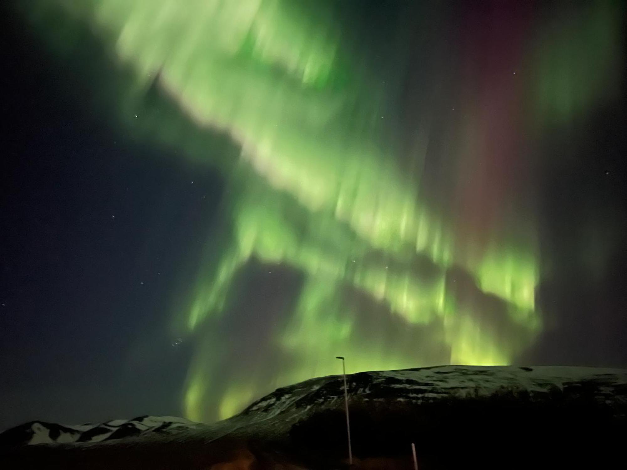 Stora-Asgeirsa Horse Farm Stay Vithigerthi Exteriör bild