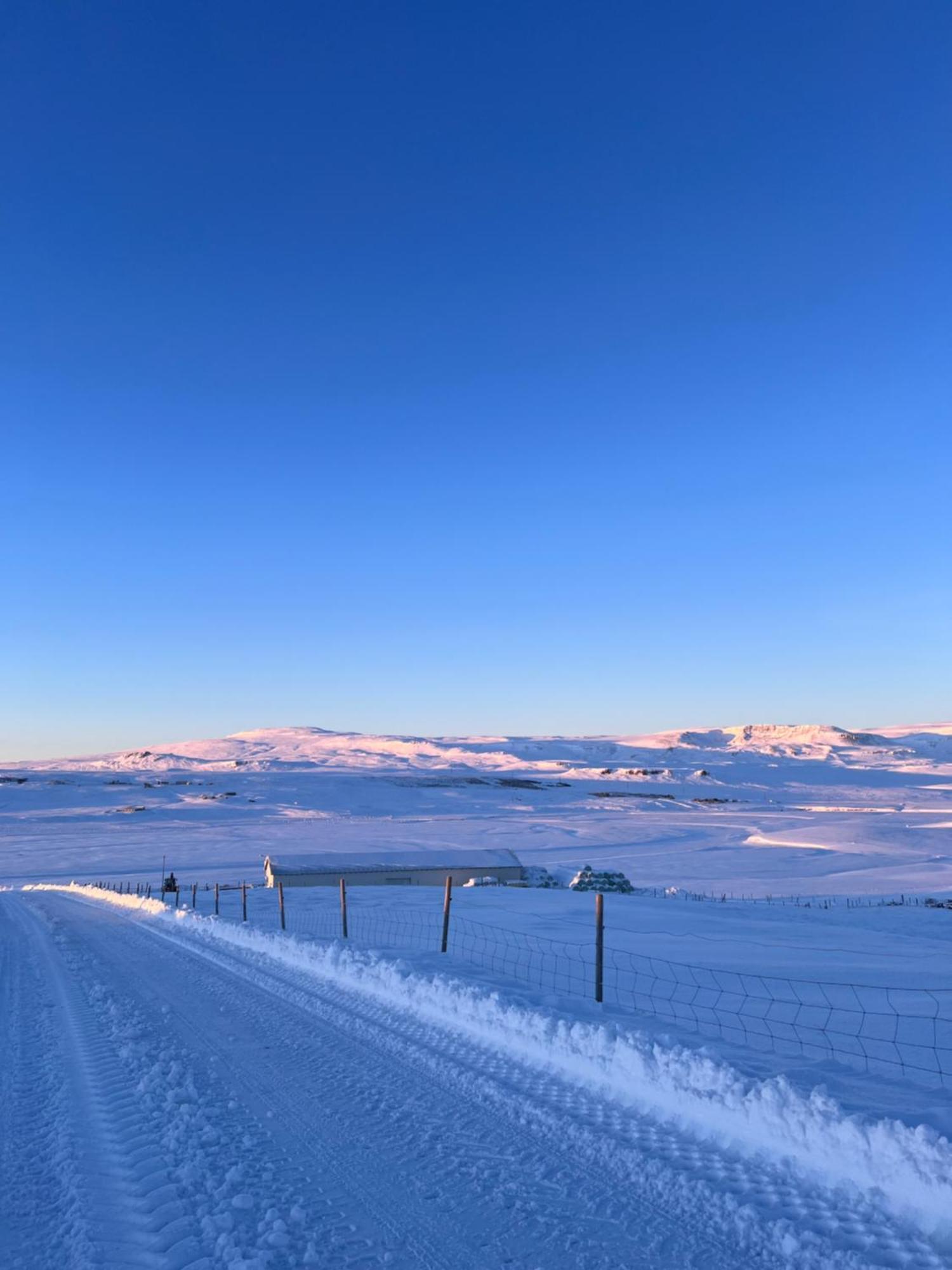 Stora-Asgeirsa Horse Farm Stay Vithigerthi Exteriör bild