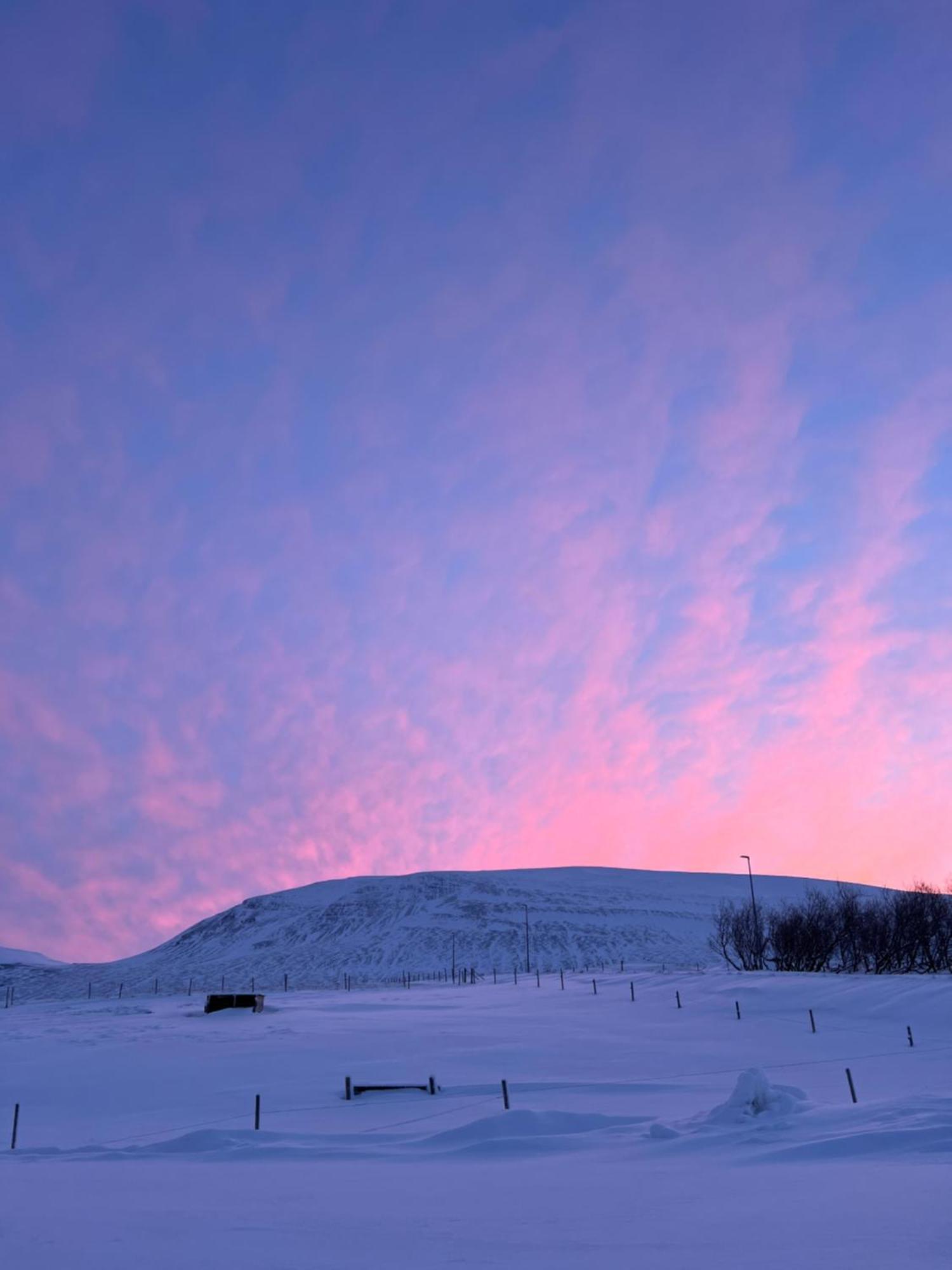Stora-Asgeirsa Horse Farm Stay Vithigerthi Exteriör bild