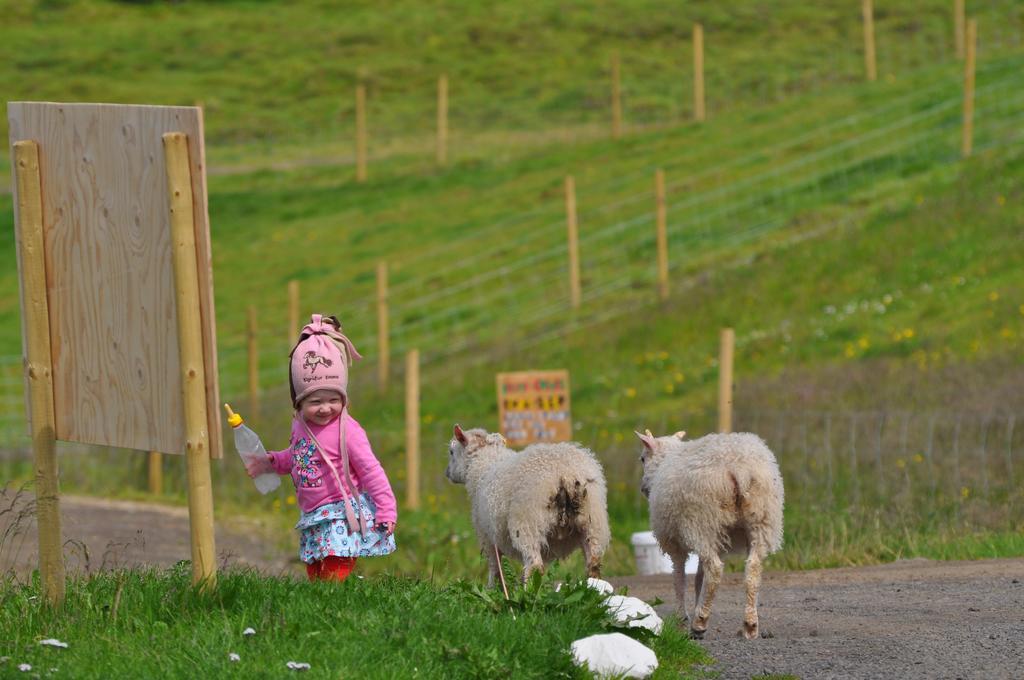 Stora-Asgeirsa Horse Farm Stay Vithigerthi Exteriör bild