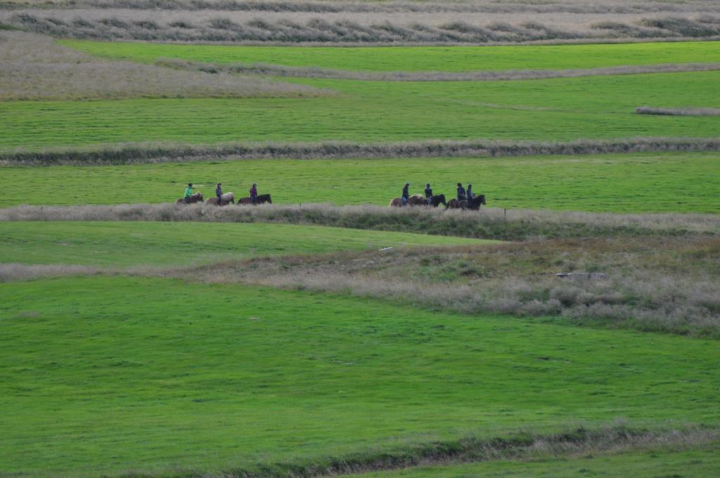Stora-Asgeirsa Horse Farm Stay Vithigerthi Exteriör bild